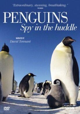 Постер к Пингвины: Шпион в толпе бесплатно