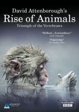 Постер к Восстание животных: Триумф позвоночных бесплатно