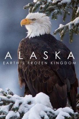 Постер к Аляска: Земли замерзшего королевства бесплатно