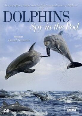 Постер к Дельфины скрытой камерой бесплатно