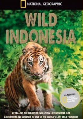 Постер к Дикая природа Индонезии бесплатно