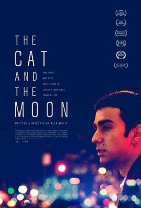 Постер к Кошка и луна бесплатно