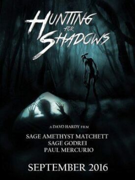 Постер к Hunting for Shadows бесплатно